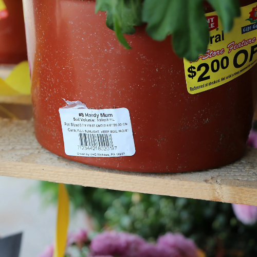 Flower pots at a garden center showcasing the durability of flat head thermal transfer ribbons used for labeling.