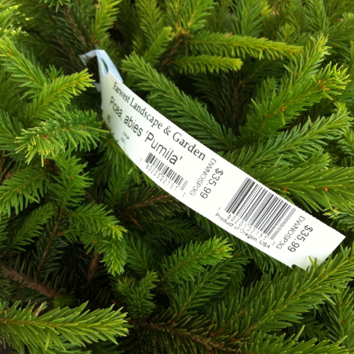 Plant tag at a Christmas tree farm demonstrating vital information printed on a label using TTO ribbons